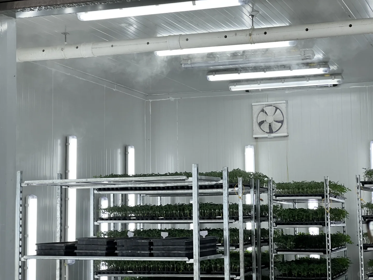 厉害了，“谢径安”！