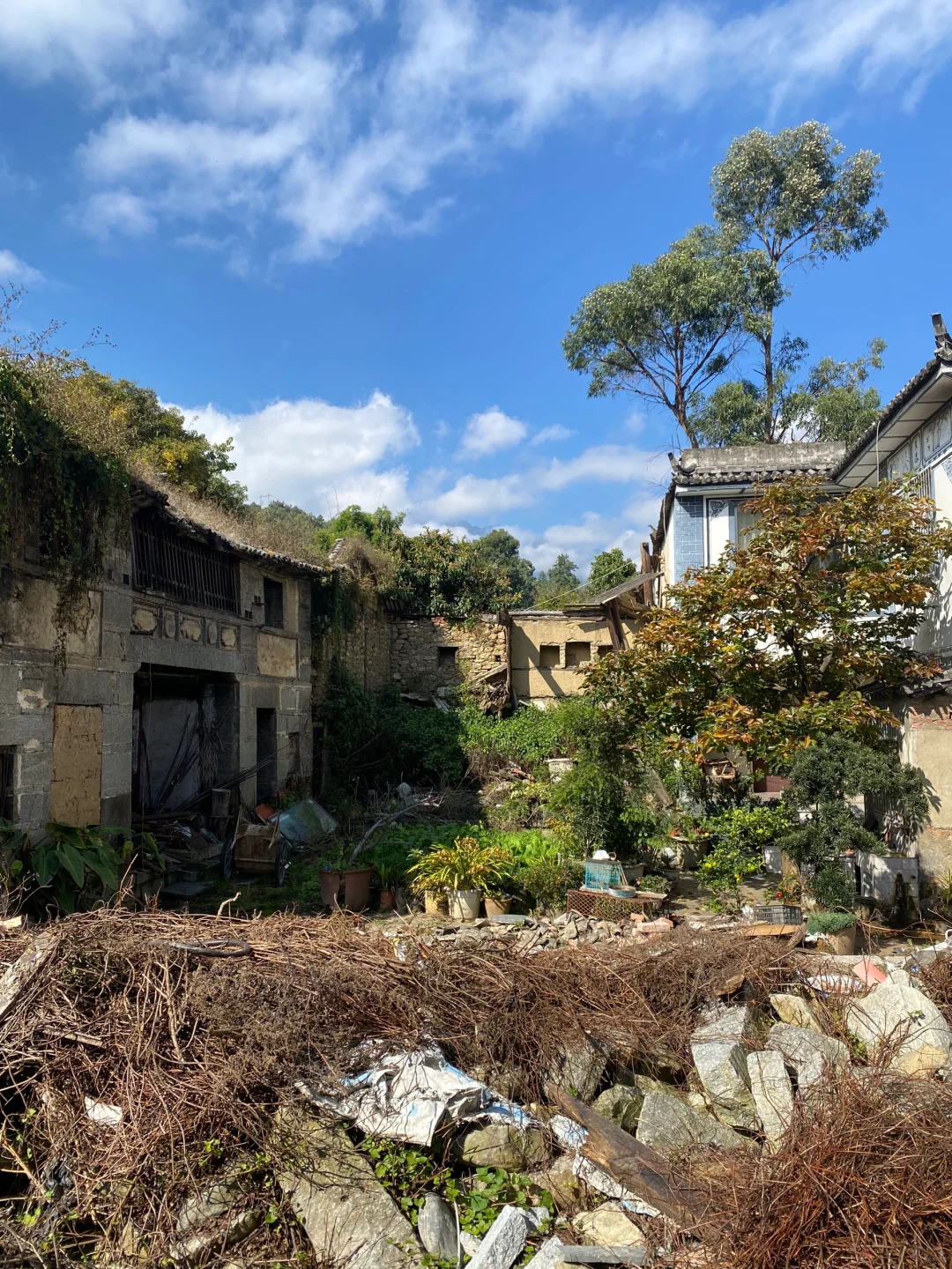 乡村市集逛不够?