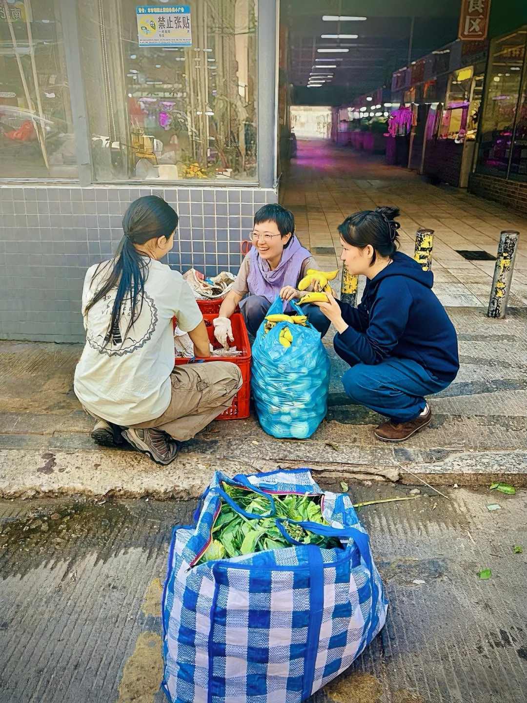 招募| 都市农夫.土壤修复工作坊,新手友好