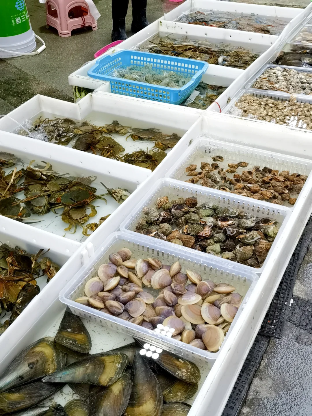 海陵岛海鲜攻略｜海鲜市场+餐馆一条龙