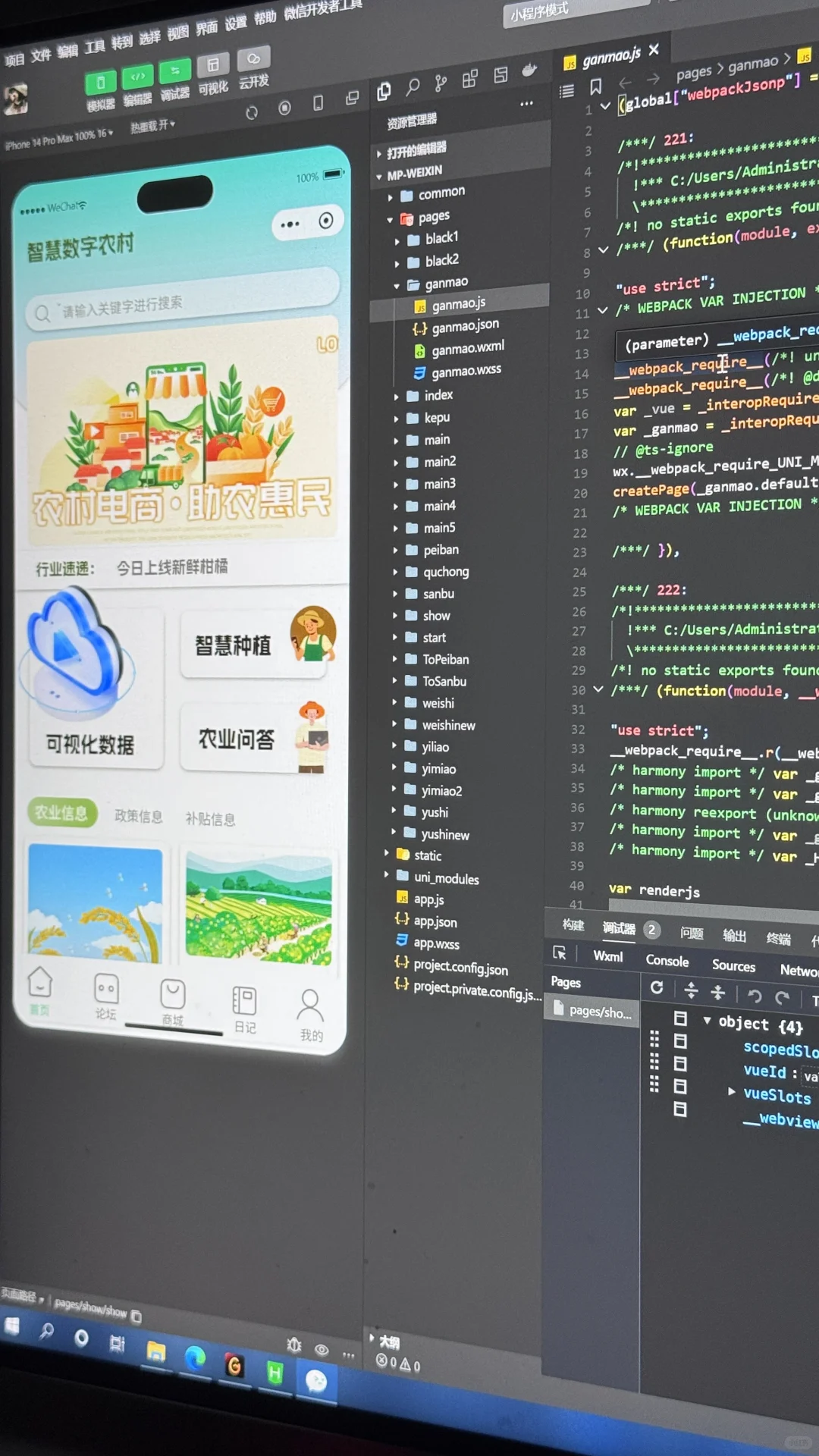 我做了一个智慧助农小程序！！