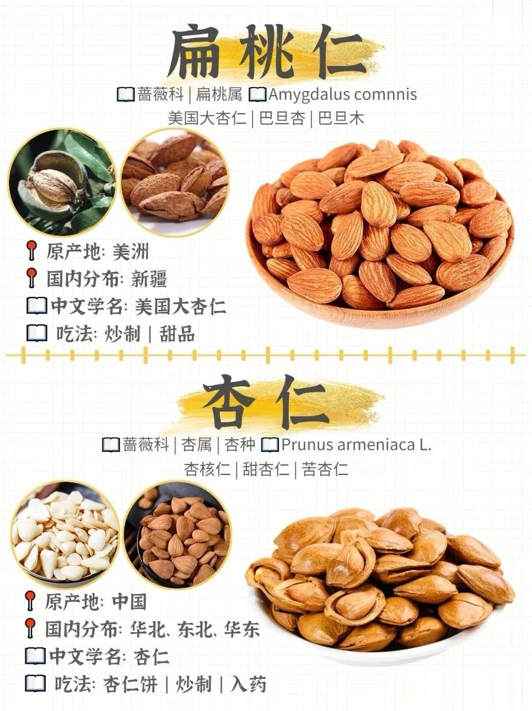 哪种坚果最好吃！坚果图鉴