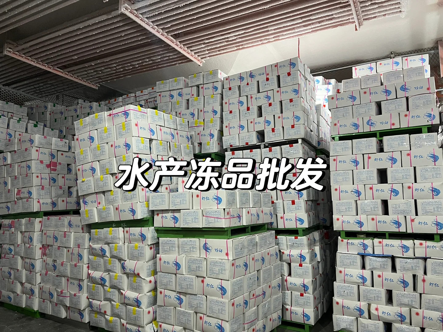 专业的人做专业的事