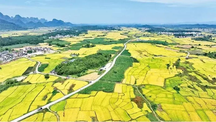 点亮农村电商，助力乡村振兴