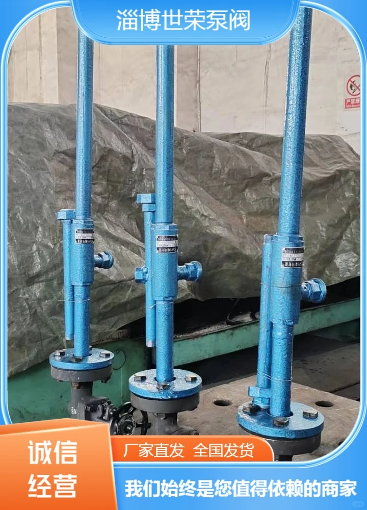 四川世荣泵阀汽水两用水喷射泵安装便捷高效