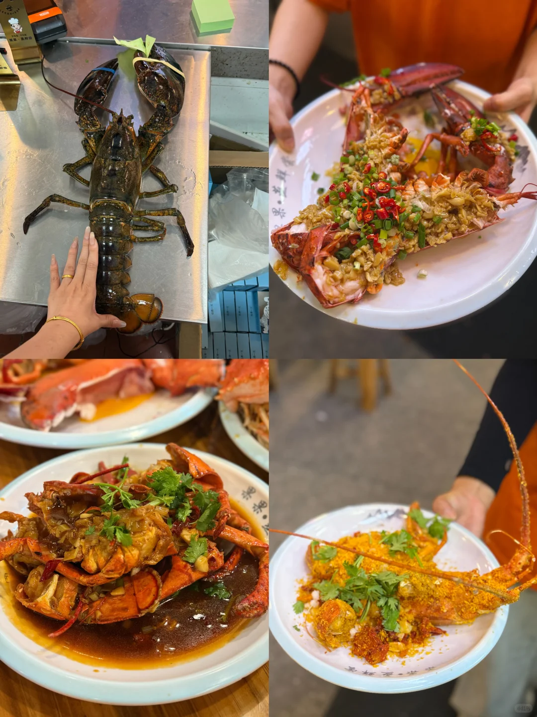 青岛淡季海鲜价格！海鲜加工本地人带你避雷✅