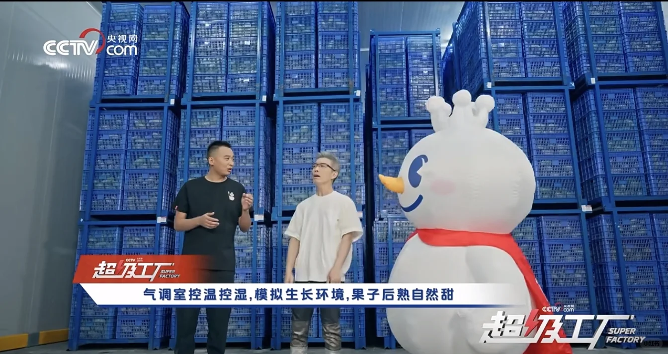 一餐几百消费不起，揭秘四元柠檬水性价比