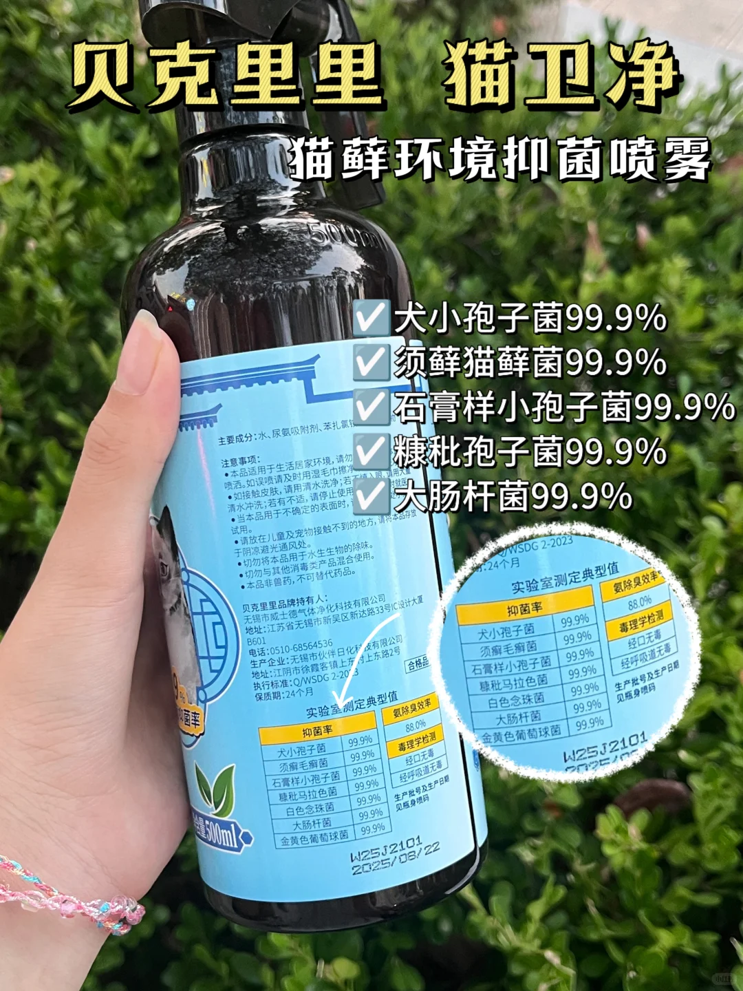 养猫搬家必看！小心皮肤病乘虚而入