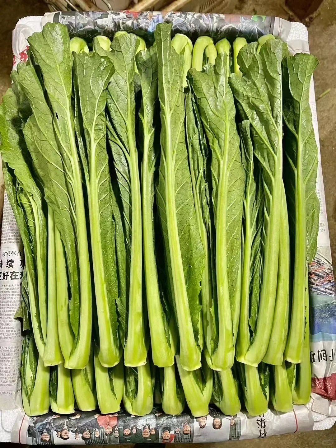 蔬菜批发 #食堂供应商 #同城配送 #餐饮供应