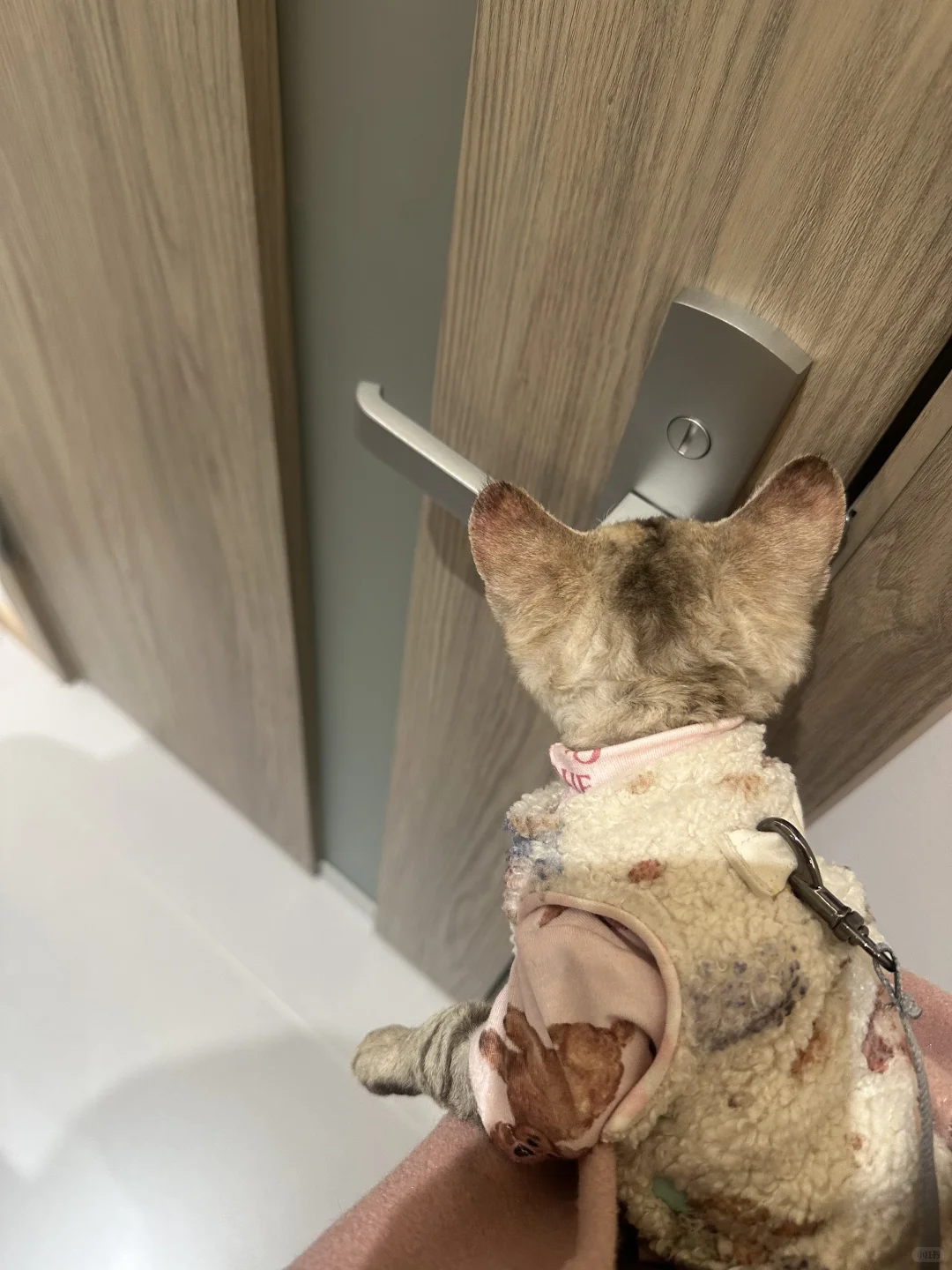 三口之家?计划启动！