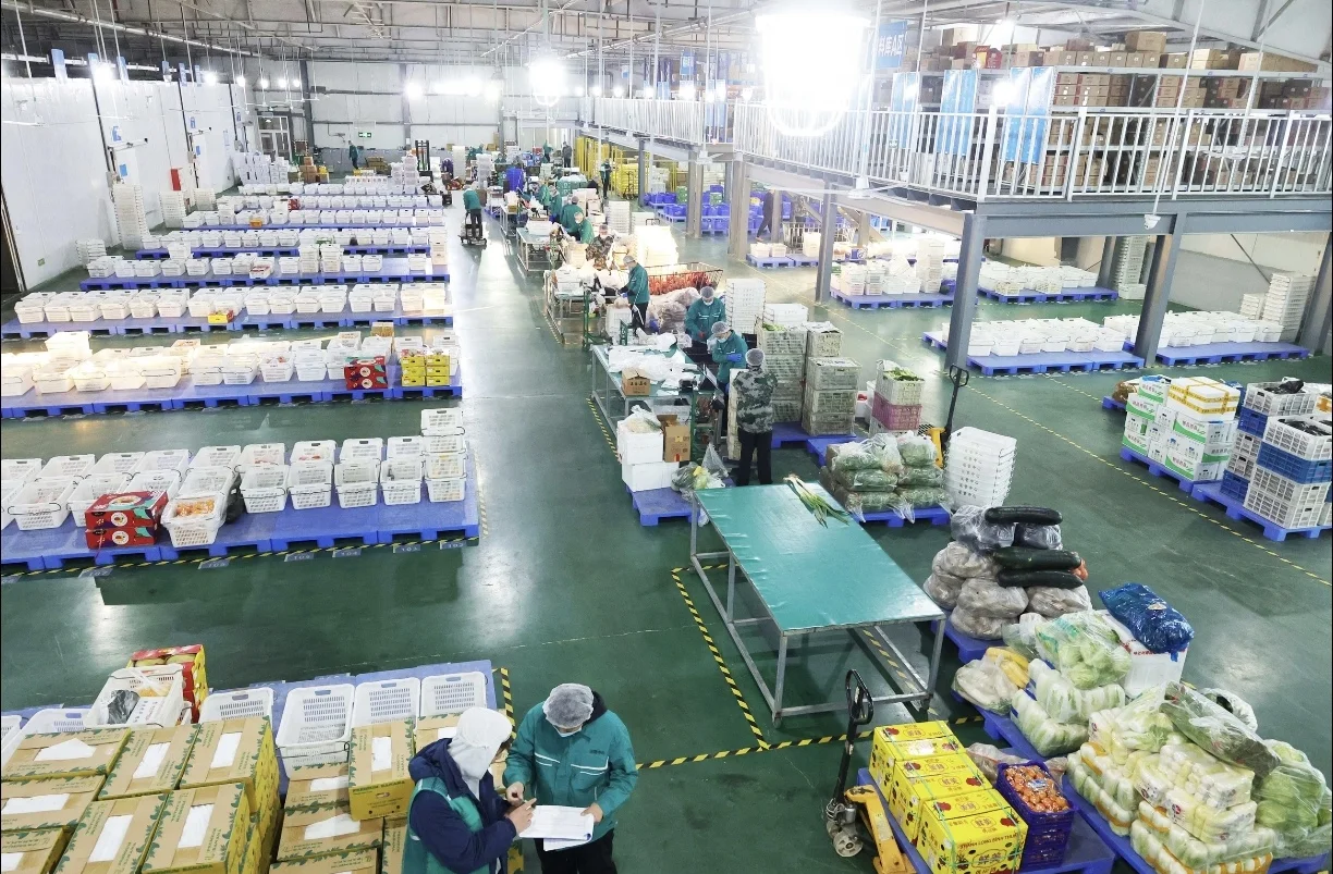 新鲜食材让您吃的放心，上海全区送货上门