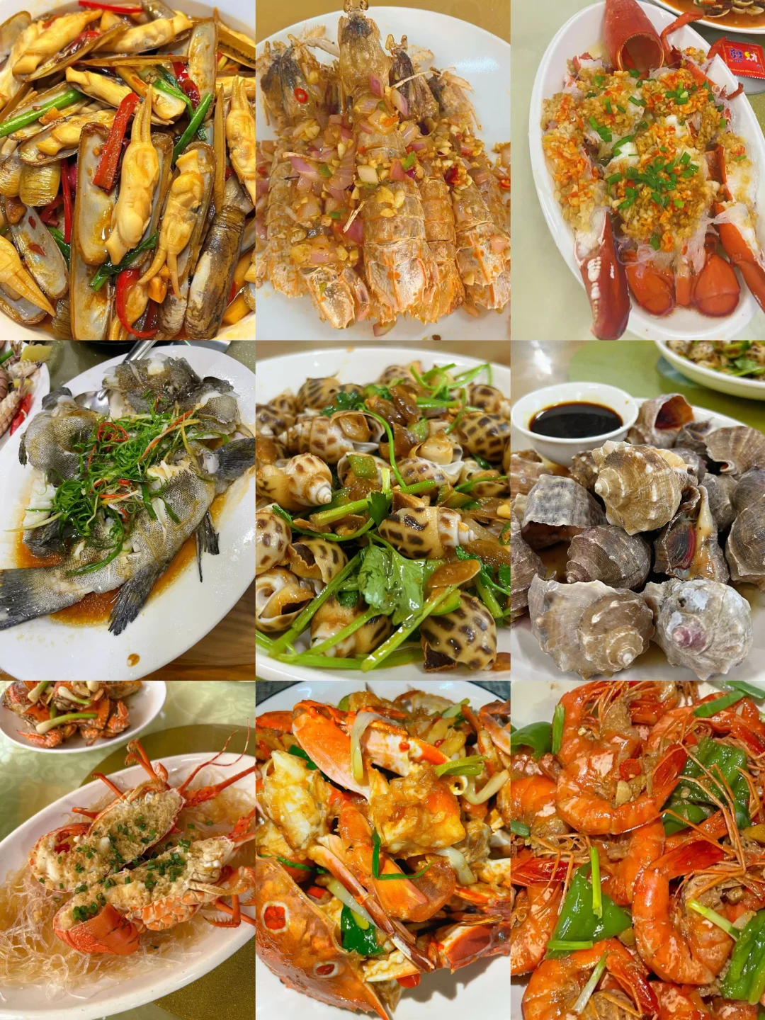 11.14海鲜报价‼️北海便民市场【便民海鲜】