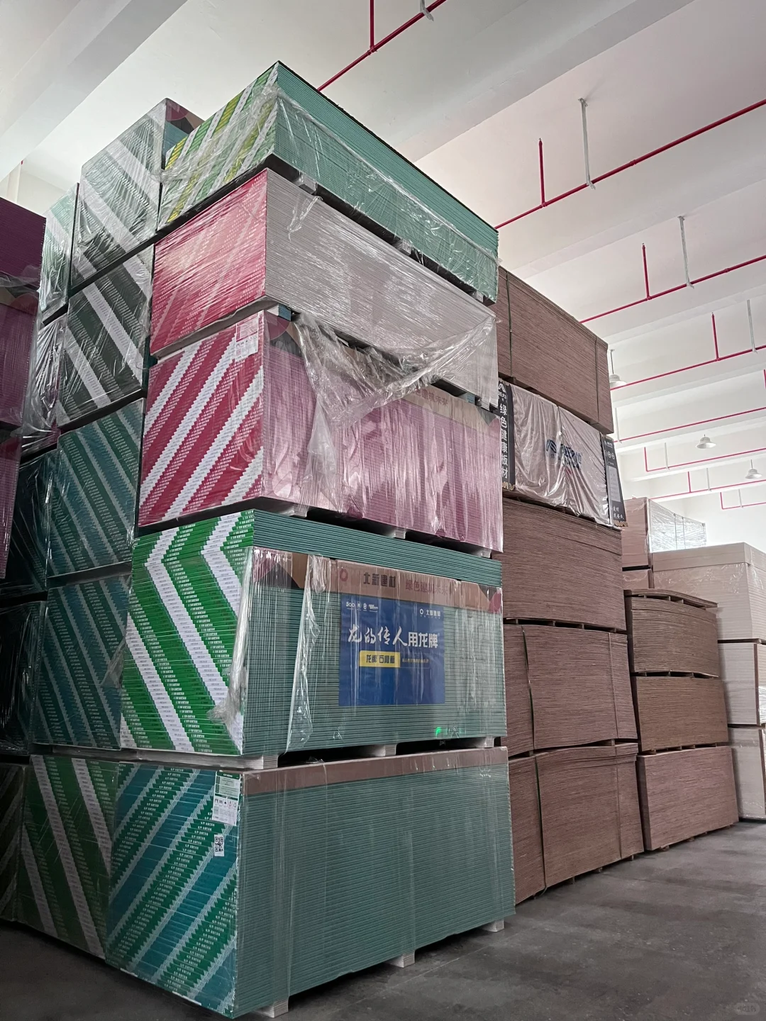 龙的传人选龙牌呀