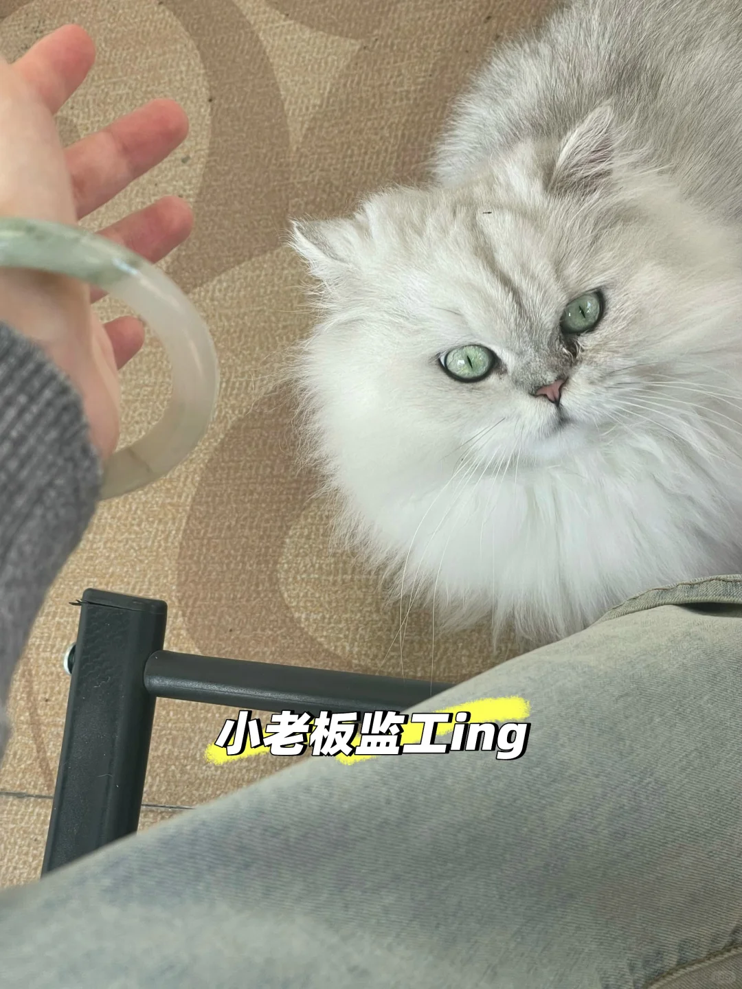 00后老板+20年老厂！外贸岗招能搞钱的你✨