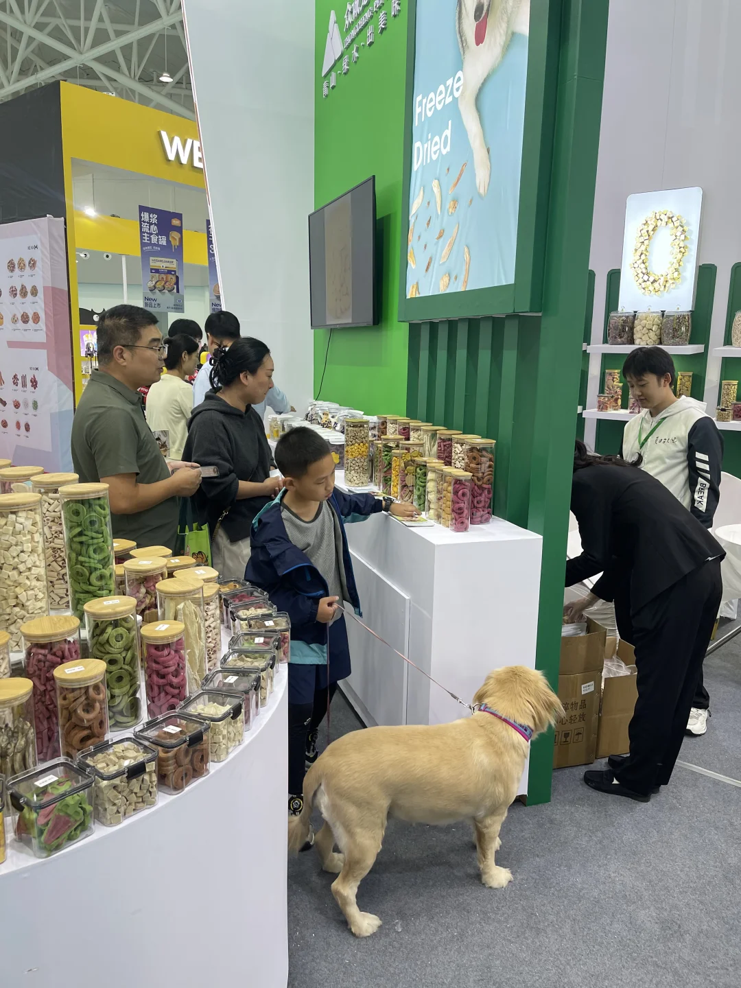 你们找的宠物冻干源头工厂，都来滴滴我