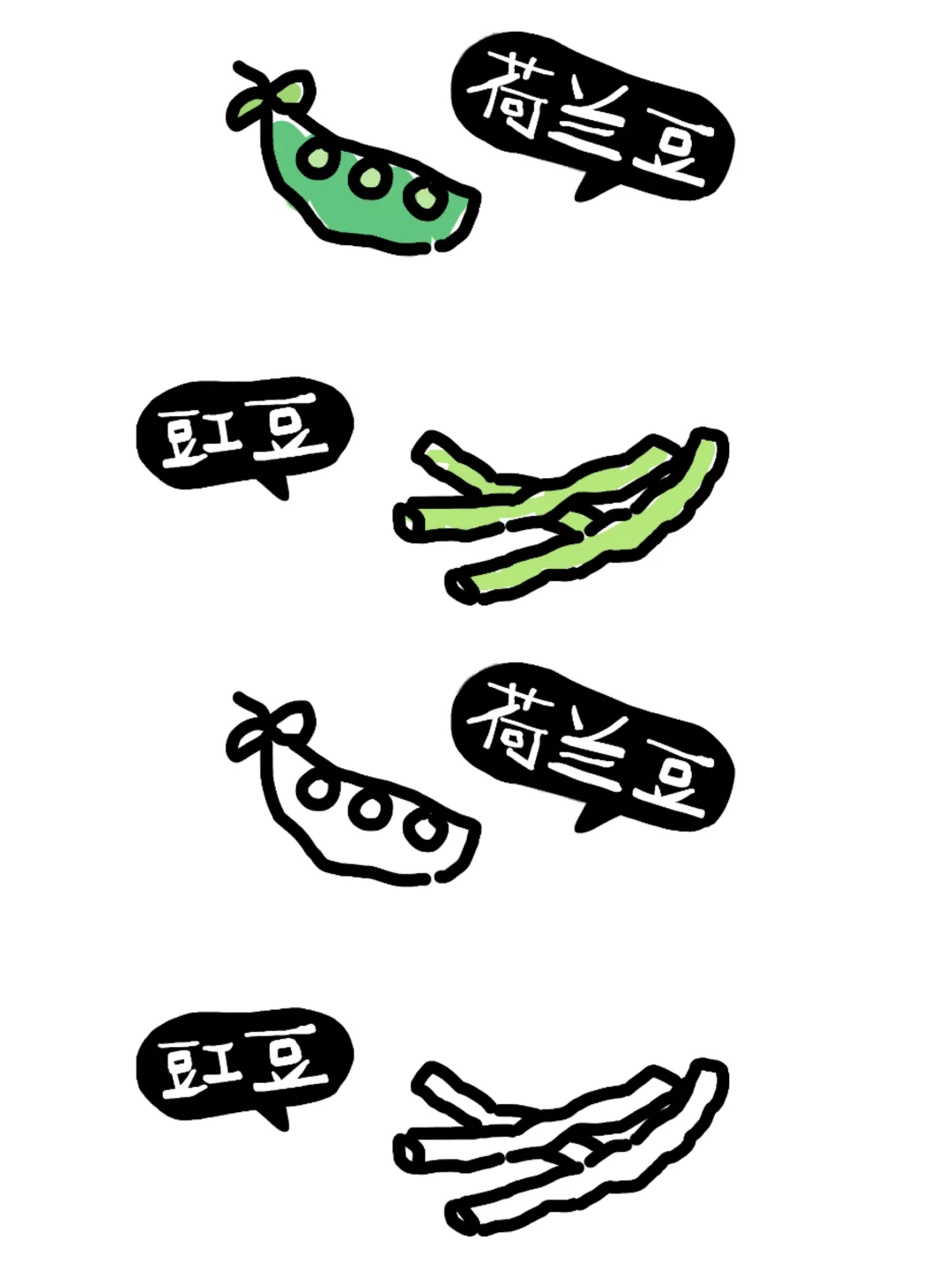 植物角：蔬菜的种类