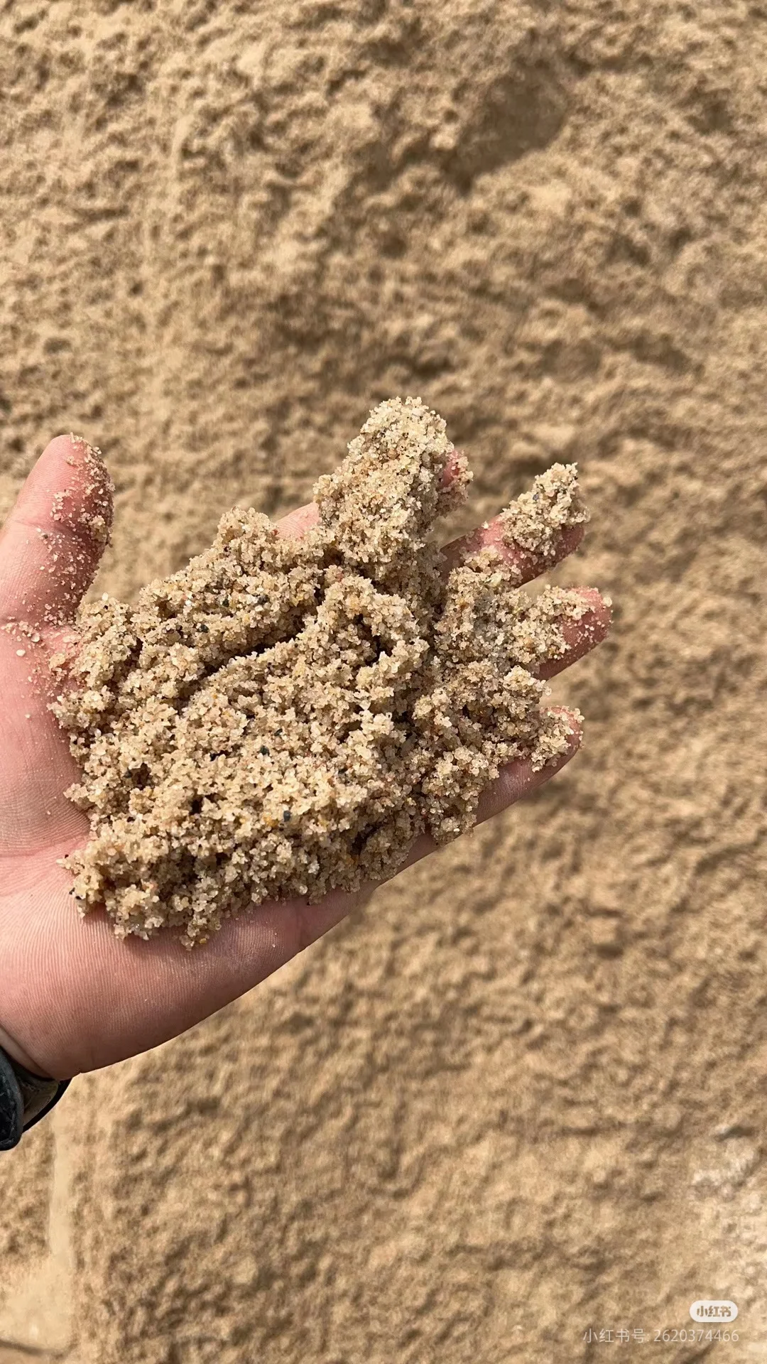 杭州沙场批发水泥黄沙