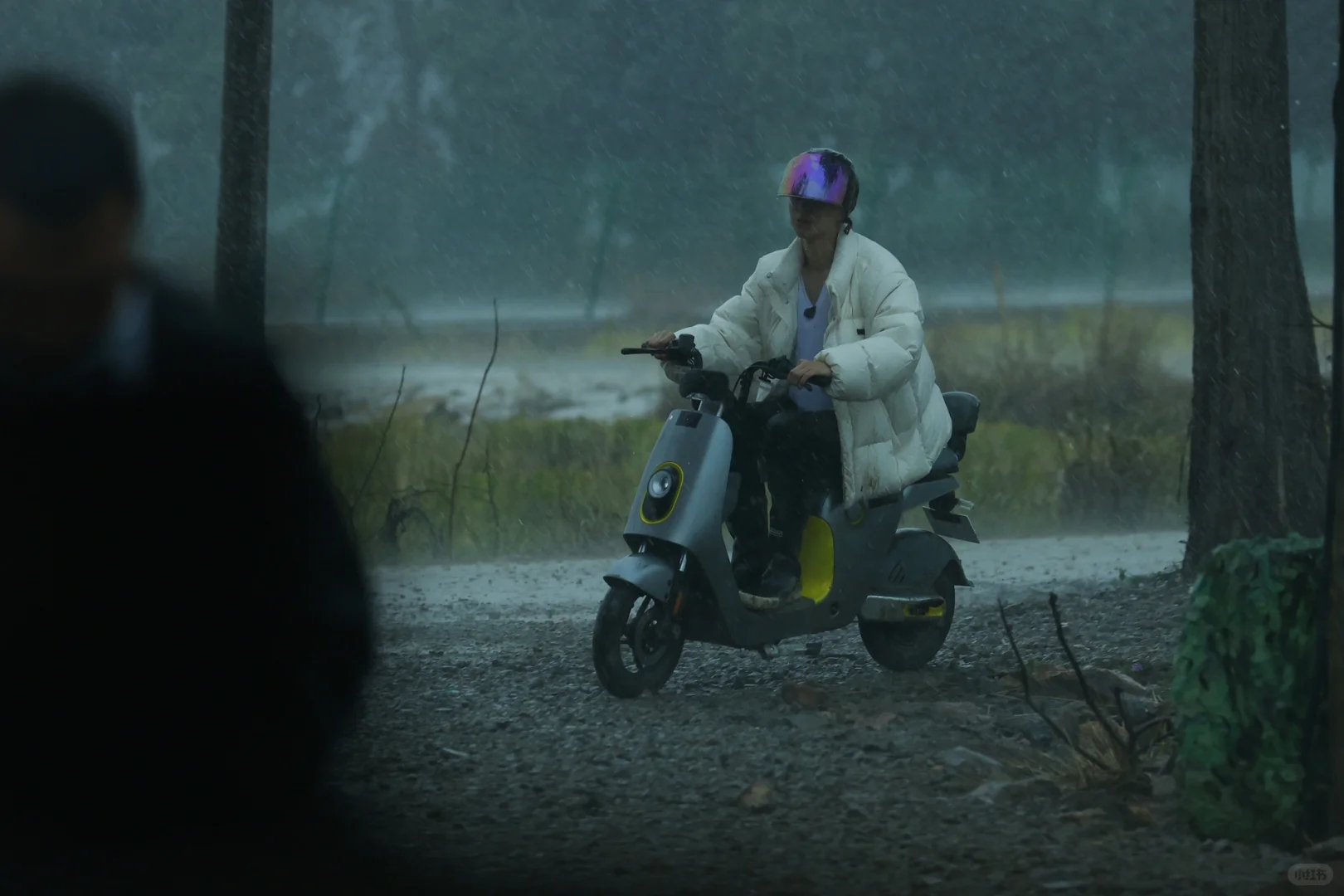 小何种地日记 第二弹