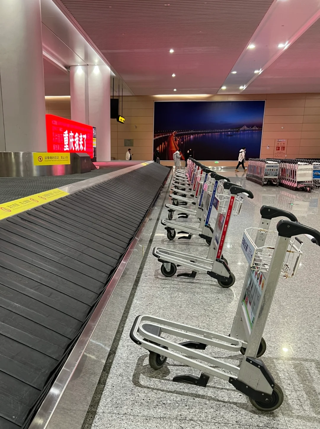 起猛了看见行李车在站军姿