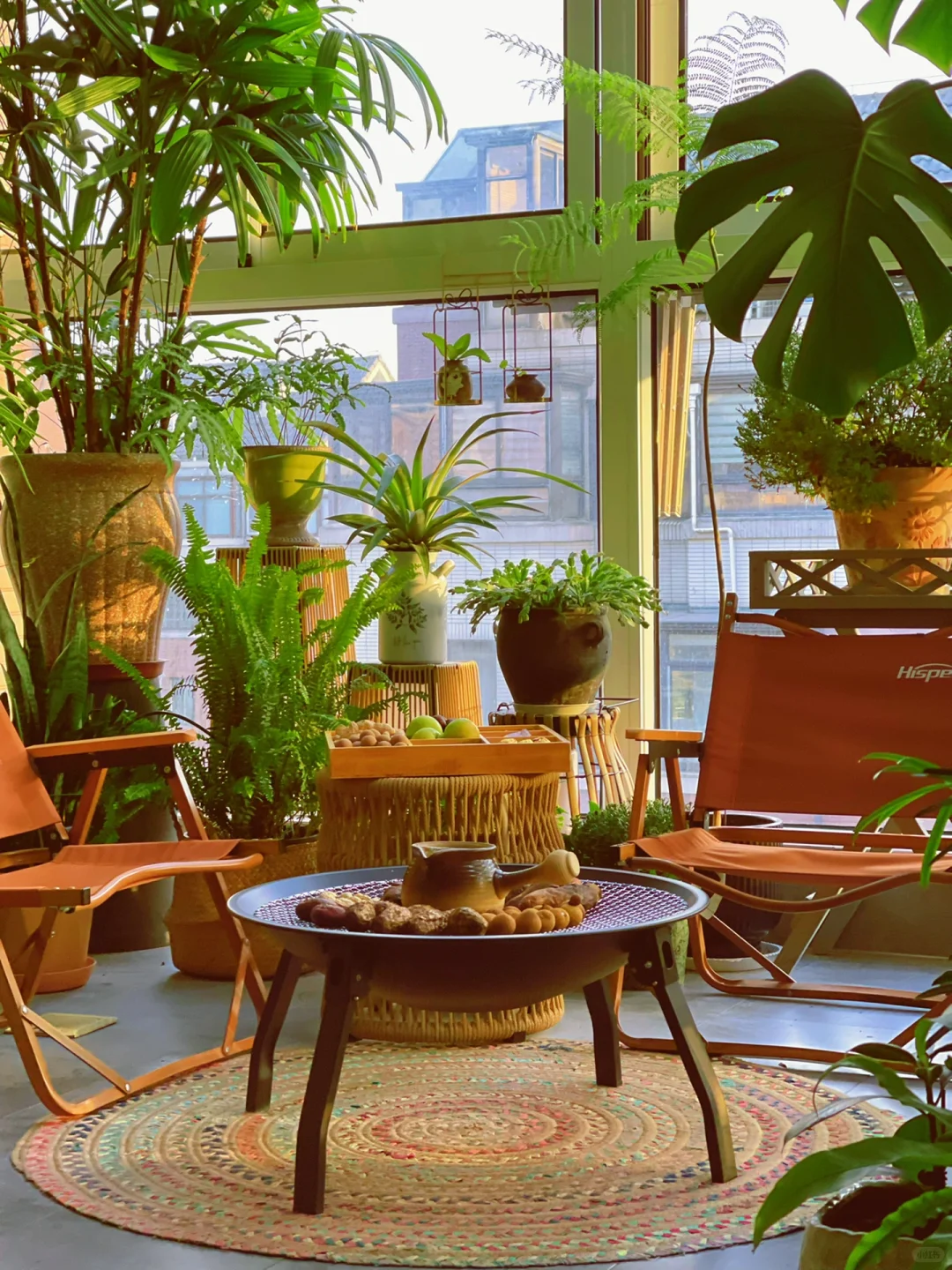 我的2023阳台小森林布置18图｜供参考