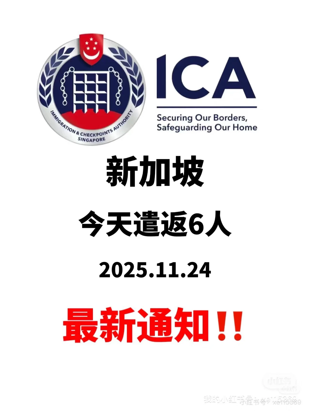 免签后，新加坡为什么会有这么多遣返❓?