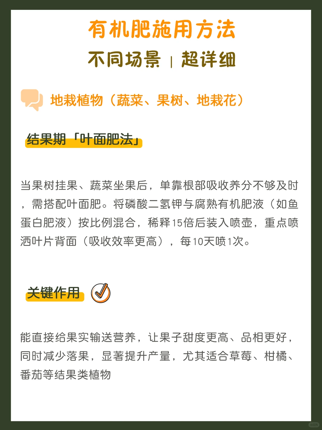 新手必看！一文搞懂有机肥正确施用全流程