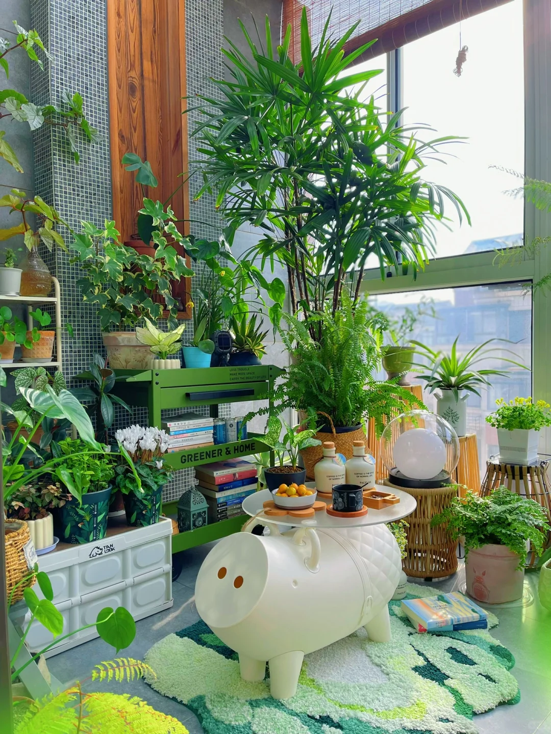 我的2023阳台小森林布置18图｜供参考