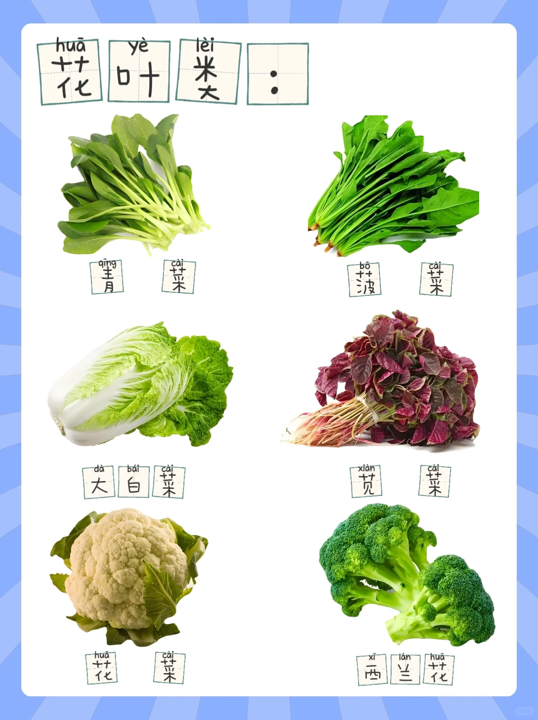 幼儿知识科普之认识蔬菜（含拼音）