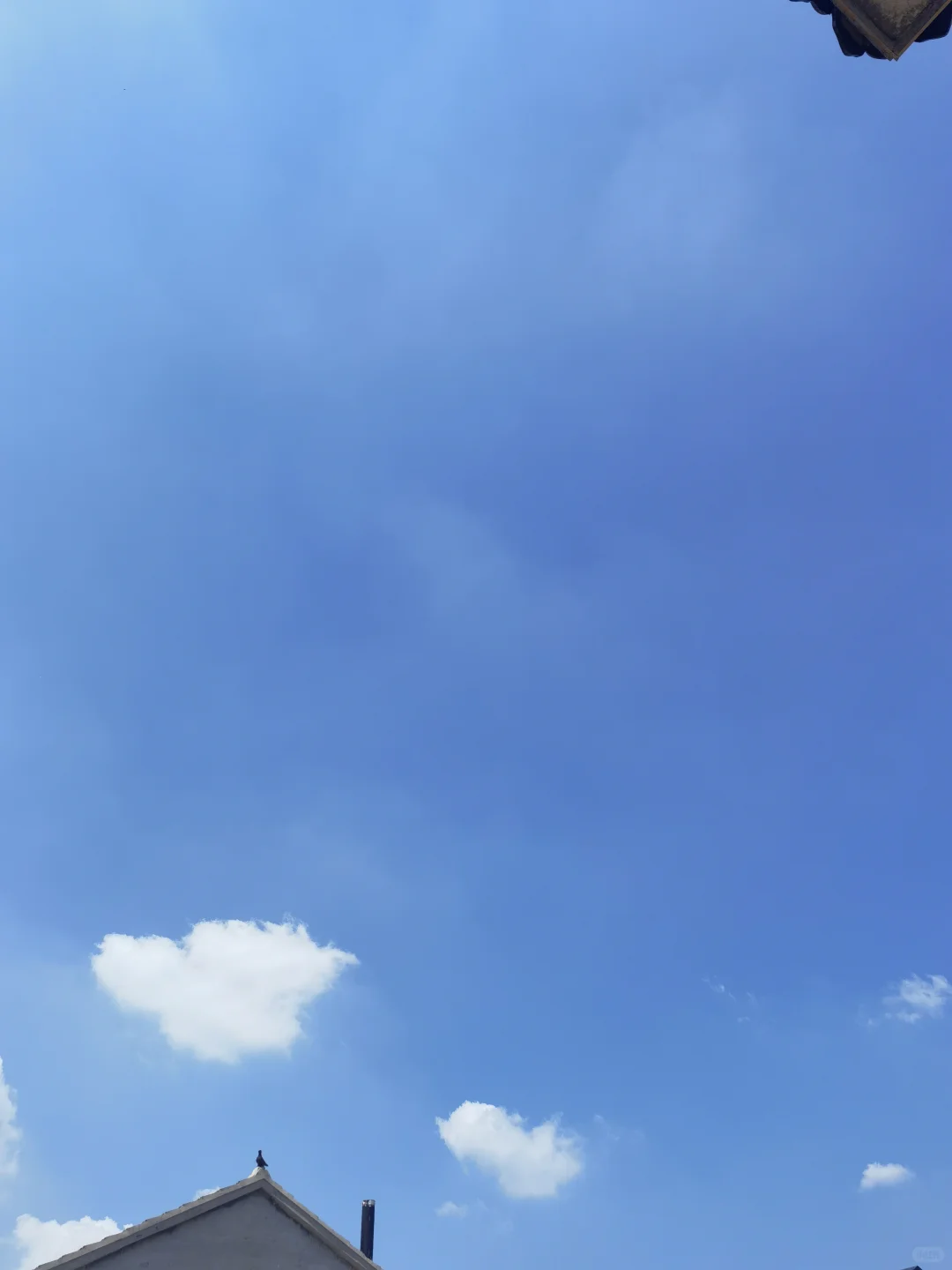 食品源头工厂，专供海外各大商超，餐厅