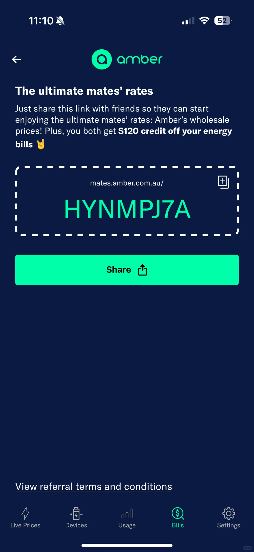 对于Amber的虚拟电厂(VPP)的使用体会