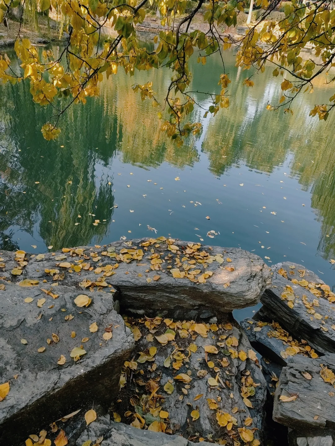 ? ｜一分钟搞定奥迪车钥匙断电，赴深秋