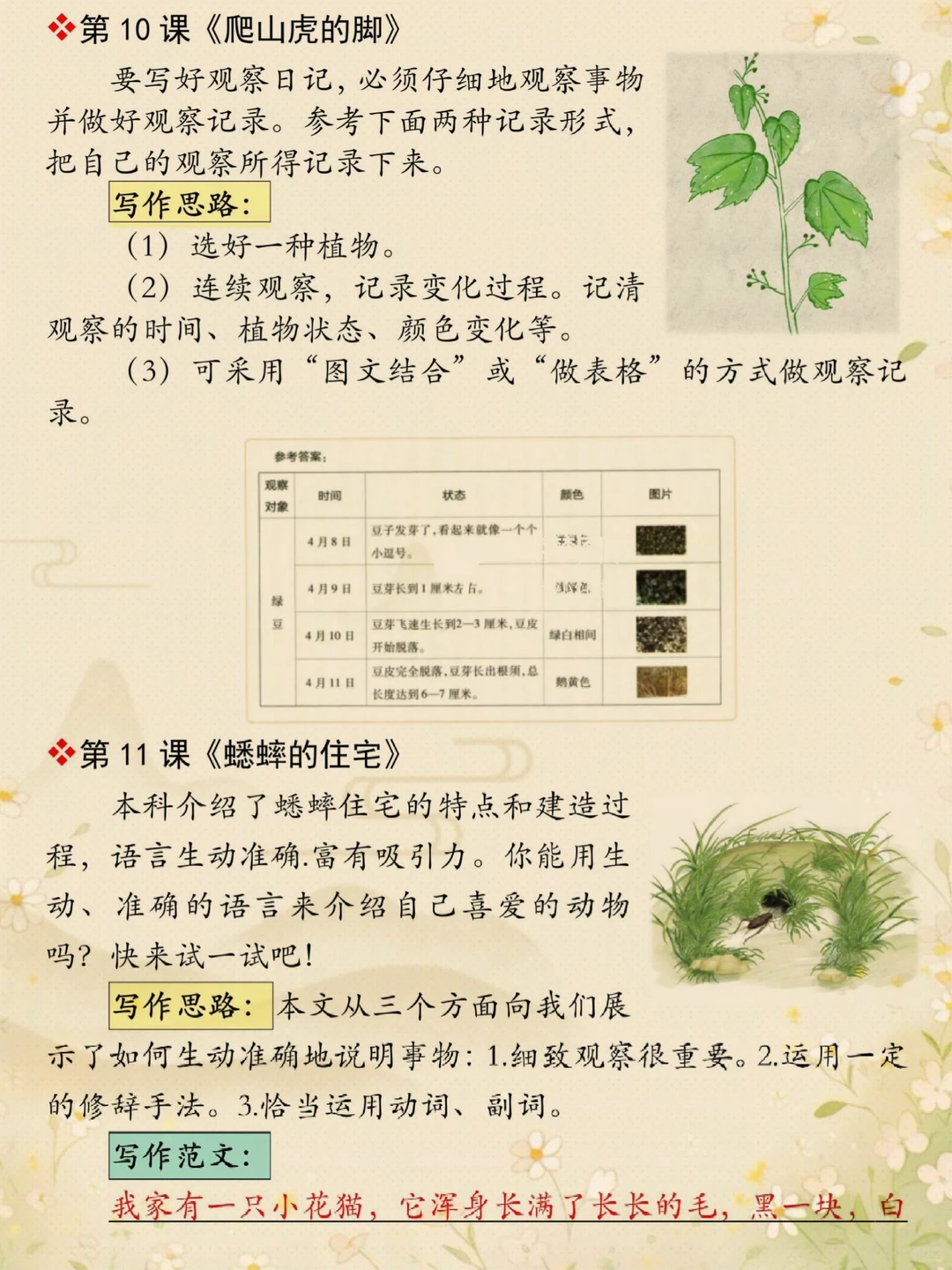 恶心但管用，四上语文课后小练笔暑假必练