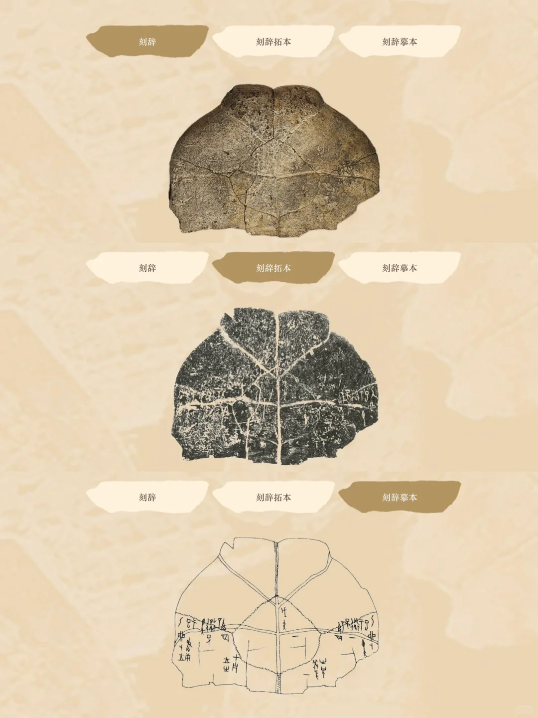 看看故宫藏的?????片甲骨?