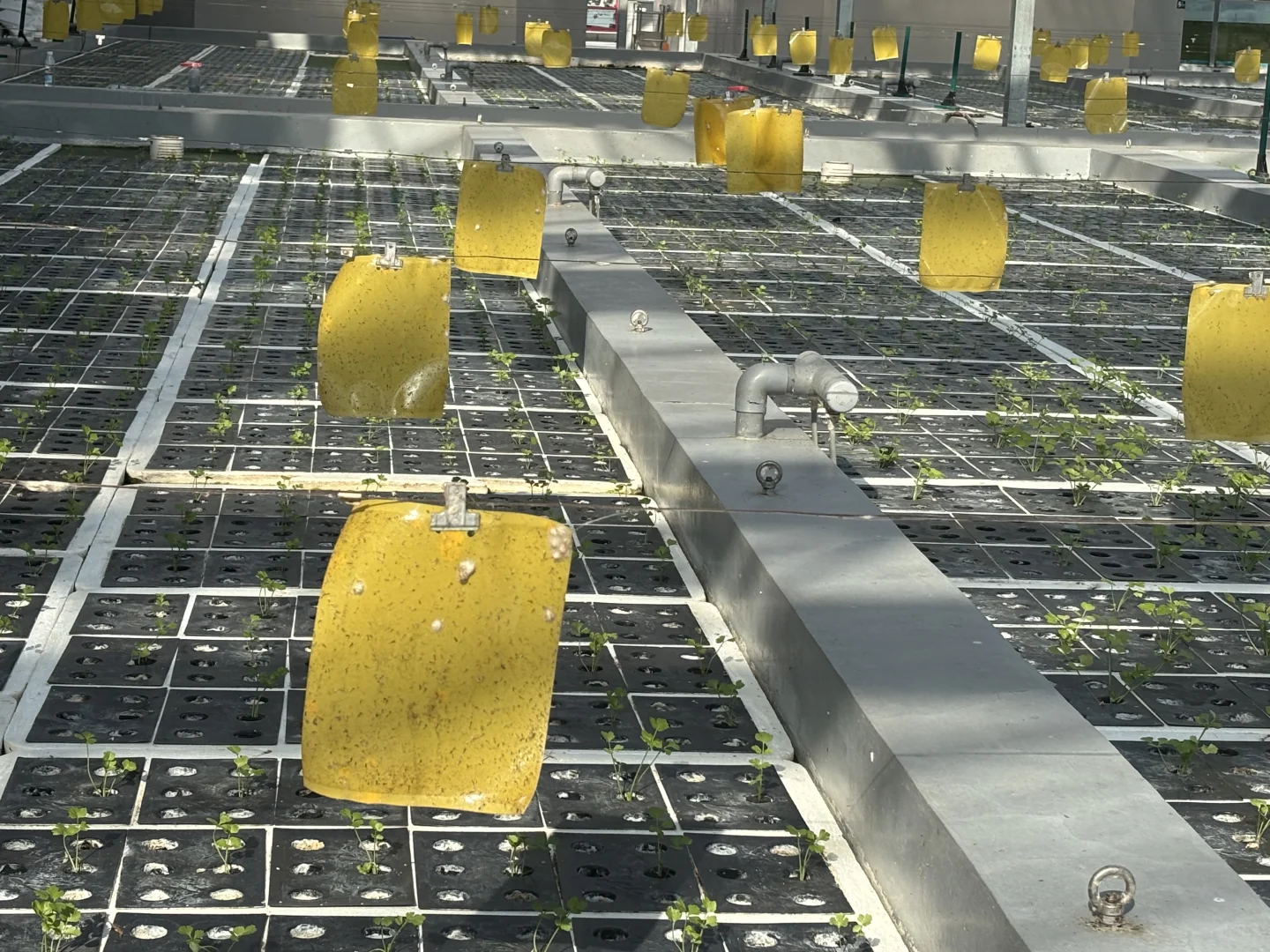 这个班真的太赞了！！！?