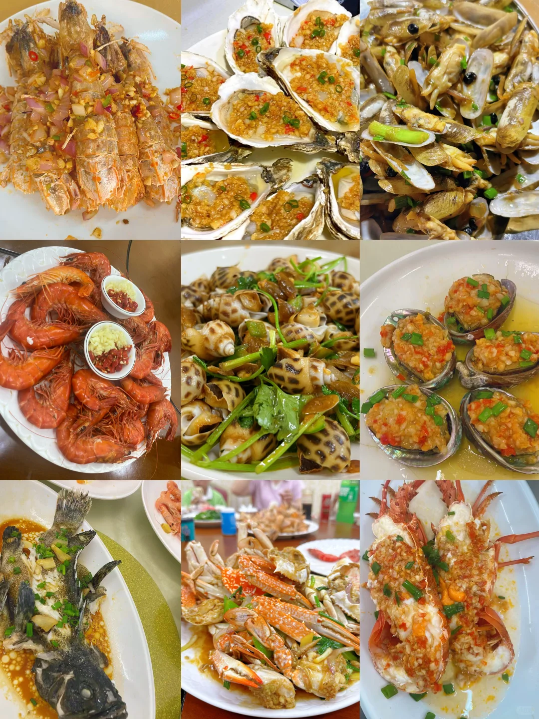 11.17海鲜报价‼️北海便民市场【便民海鲜】