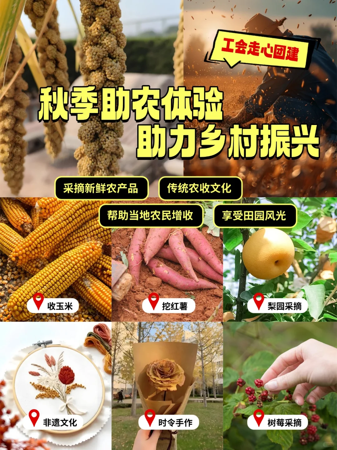 工会秋季助农体验 暖心又好玩 一起助力乡村