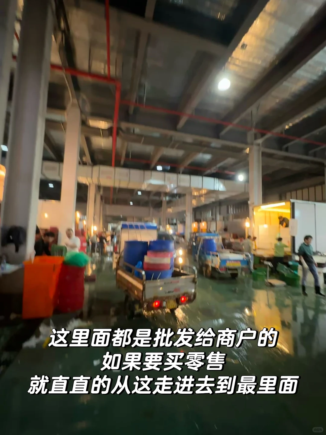 宁德新能源！居然藏着一个宝藏海鲜批发市场