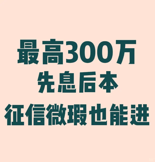 今年，执照贷彻底疯了！最高300万，先息后
