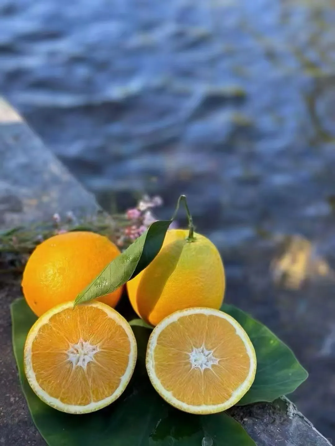 农民就是难啊！