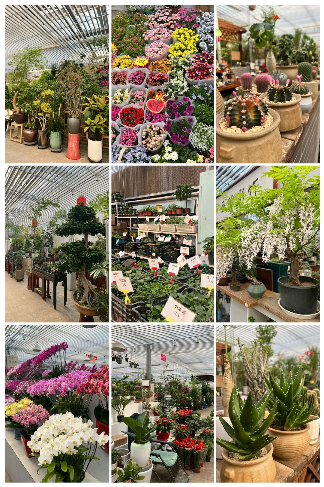 装修｜必去的家居建材城