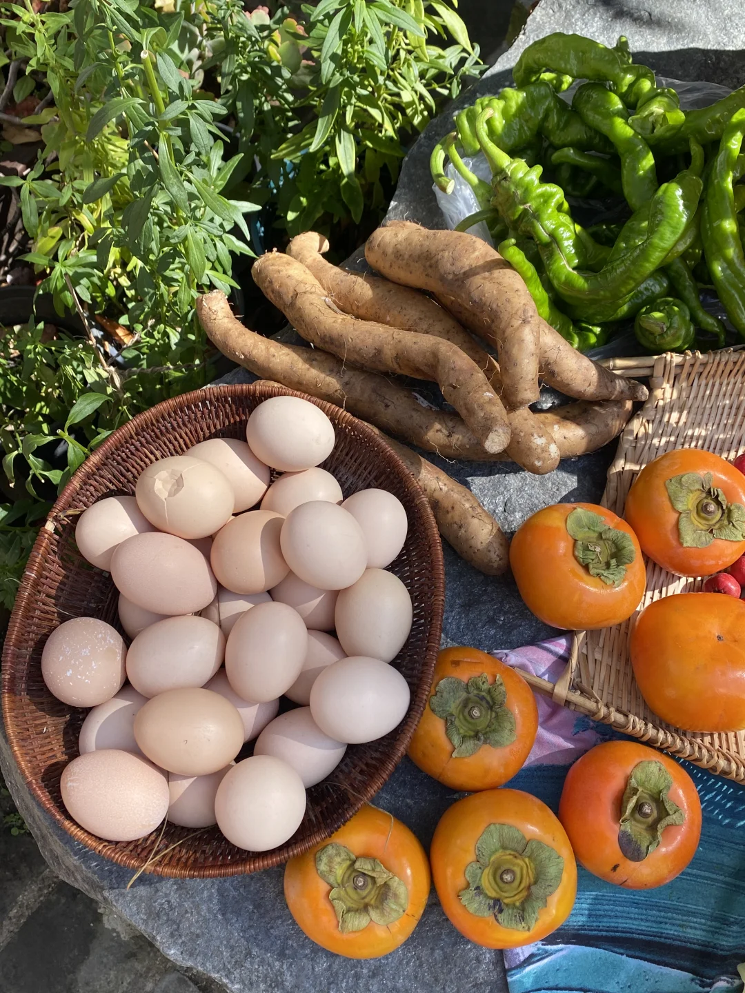 乡村市集逛不够?