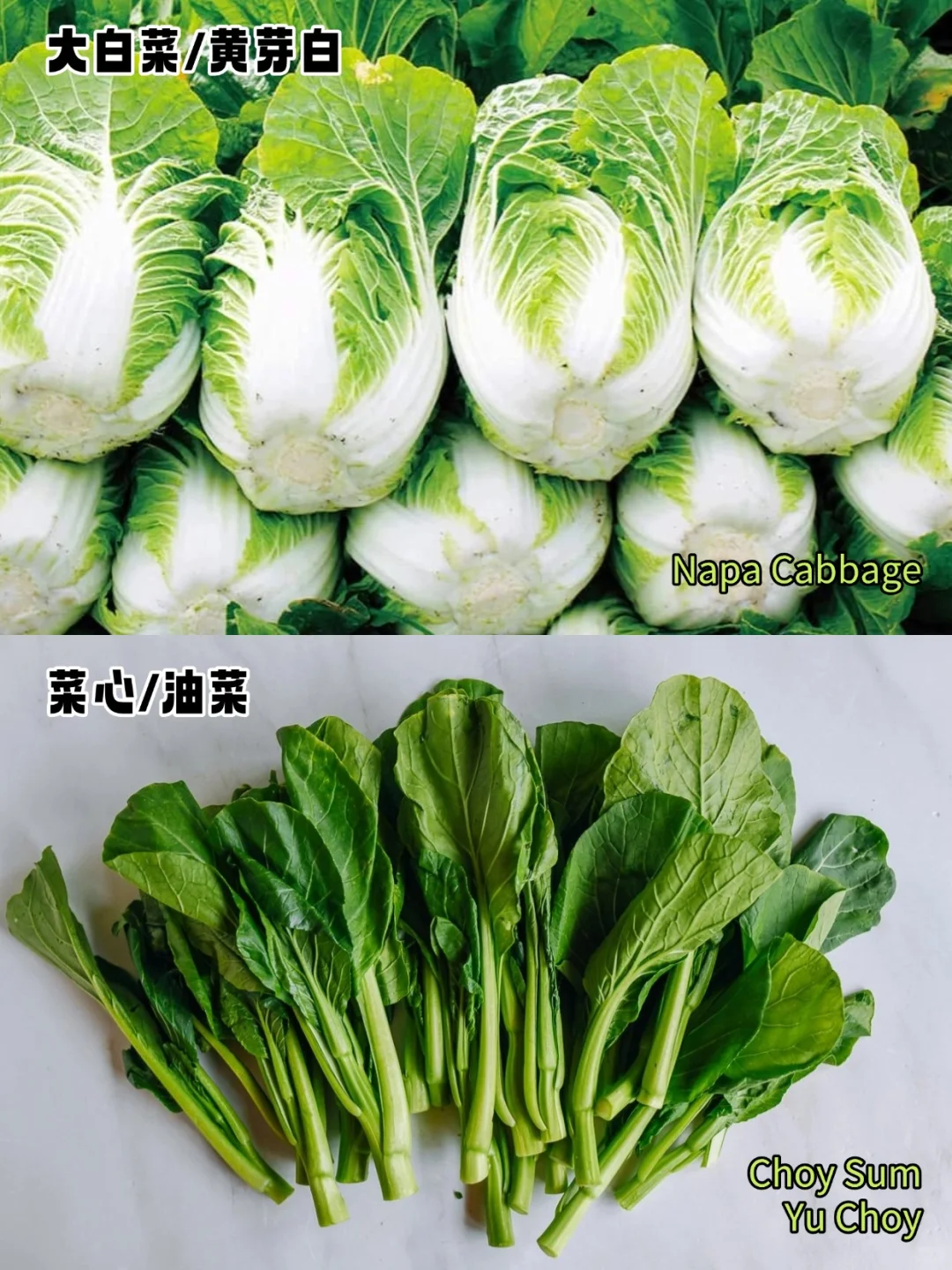 加拿大常见蔬菜中英文对照?叶菜篇