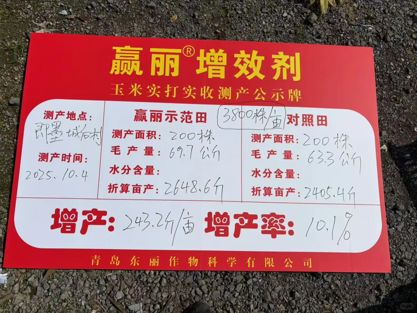 德国赢创增效剂