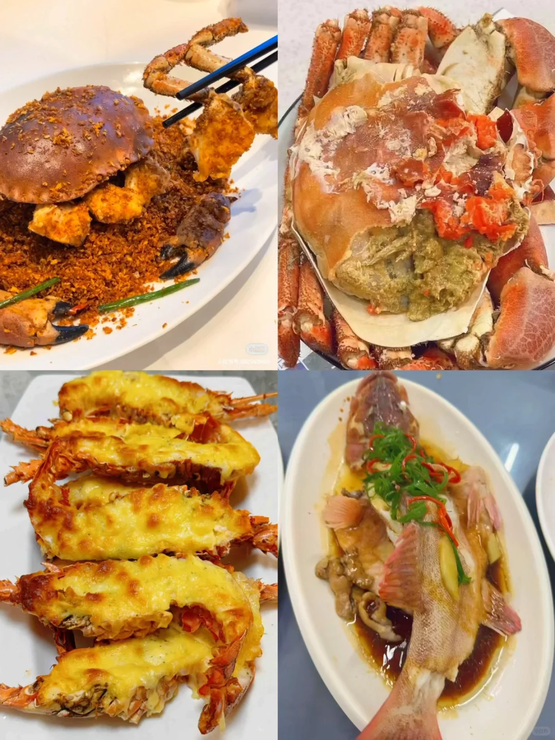 11.14海鲜报价‼️北海便民市场【便民海鲜】