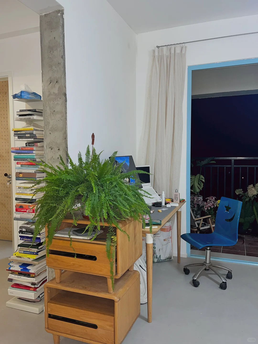 均价不到20的植物