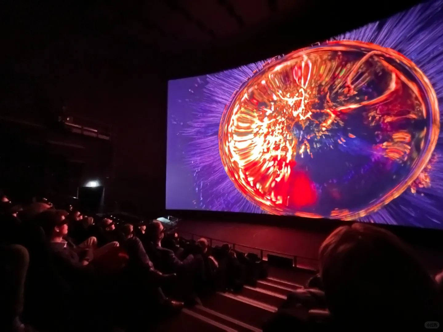 中国图湃医疗图像竟登上瑞士最大IMAX屏幕