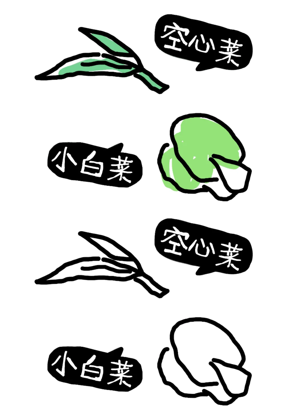 植物角：蔬菜的种类