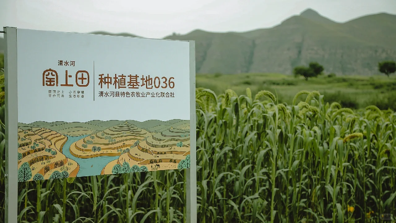 窑上田·万亩种植基地