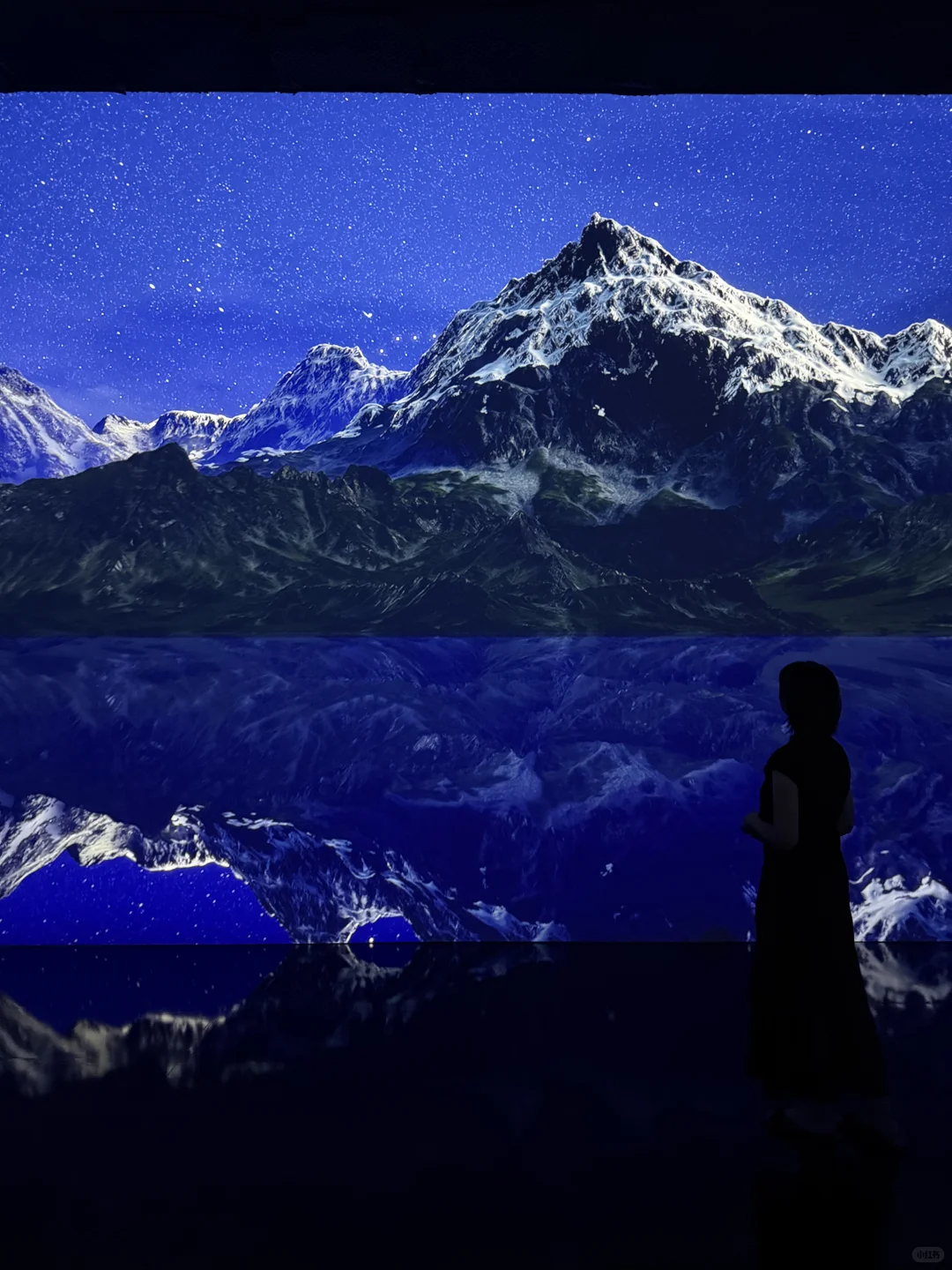 深圳新展｜与千年丝路文物群像的对望（live图