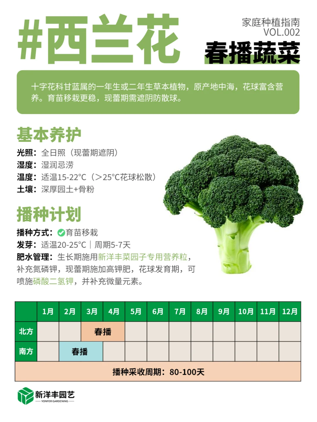 种菜新手看这个！春天种这些更容易成功